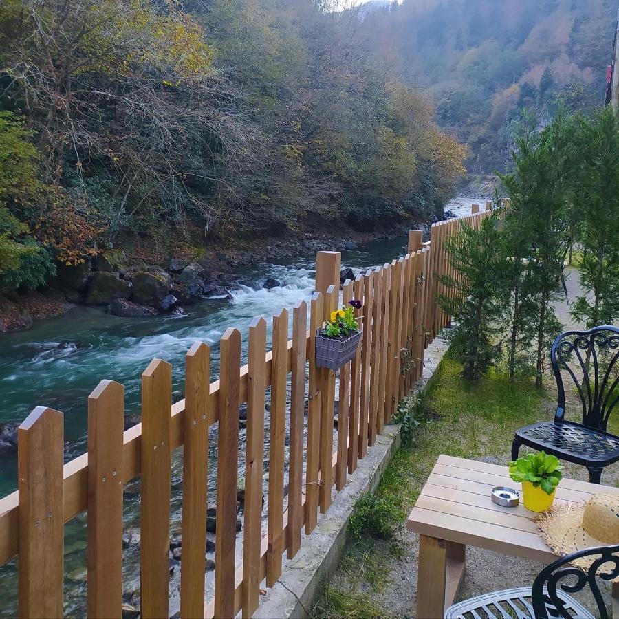 Dream River Exclusive Bungalow Rize Ngoại thất bức ảnh