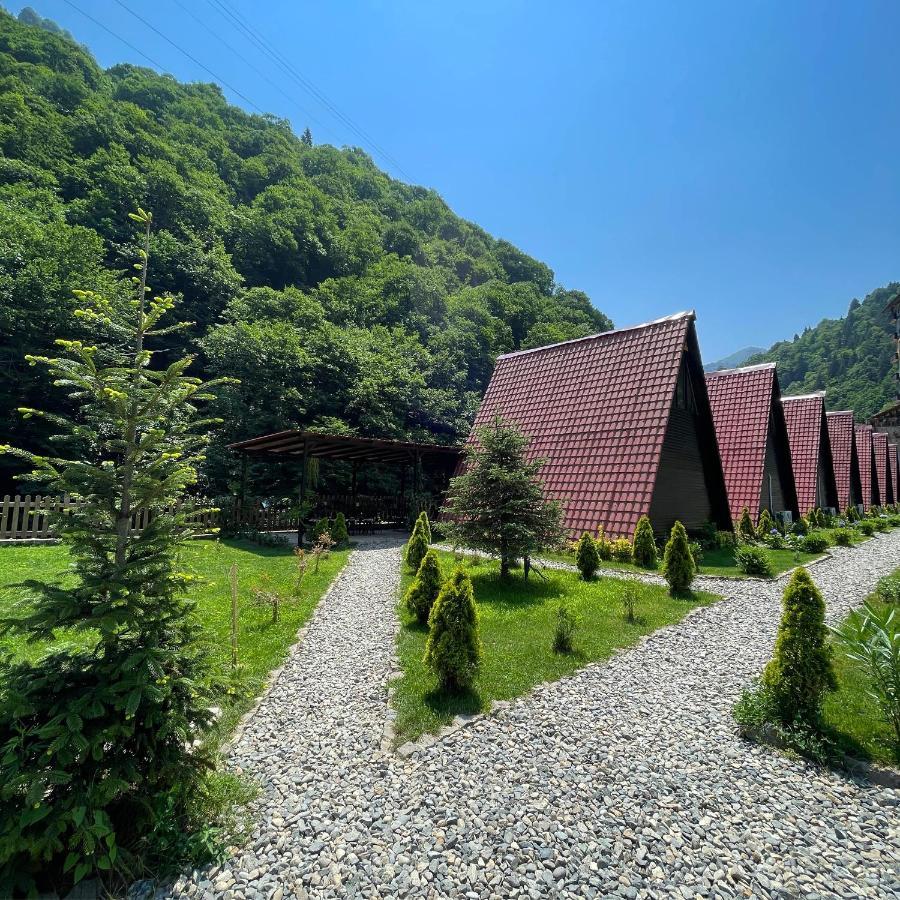 Dream River Exclusive Bungalow Rize Ngoại thất bức ảnh