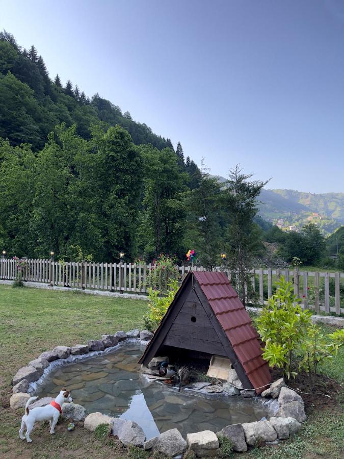 Dream River Exclusive Bungalow Rize Ngoại thất bức ảnh
